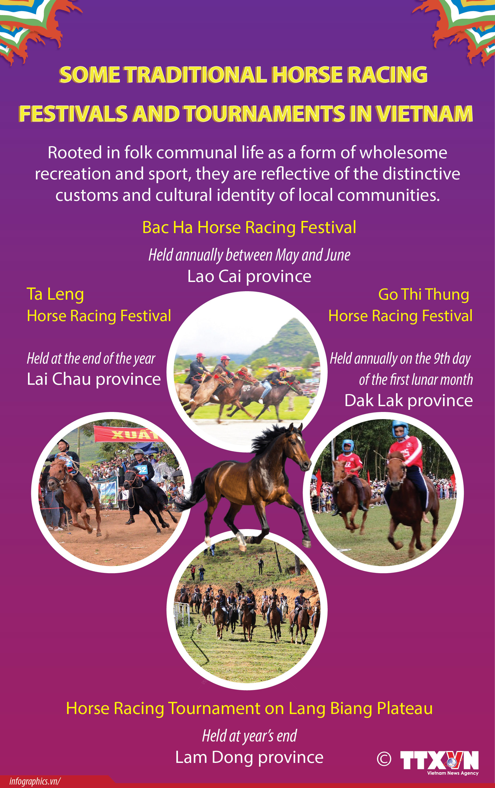 Vietnam’s horse racing festivals: Unique folk sporting tradition