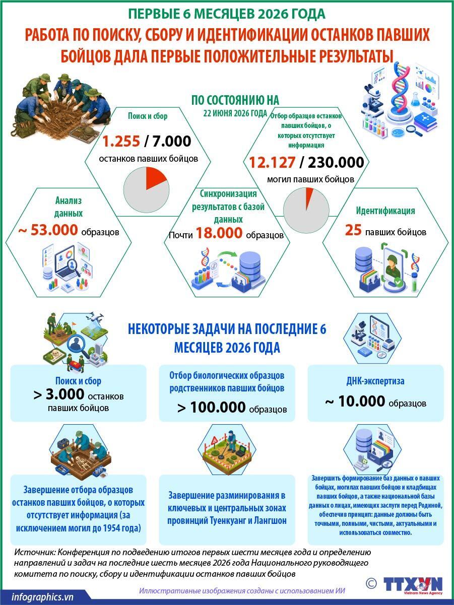 Первые шесть месяцев 2026 года: работа по поиску, сбору и идентификации останков павших бойцов дала первые положительные результаты