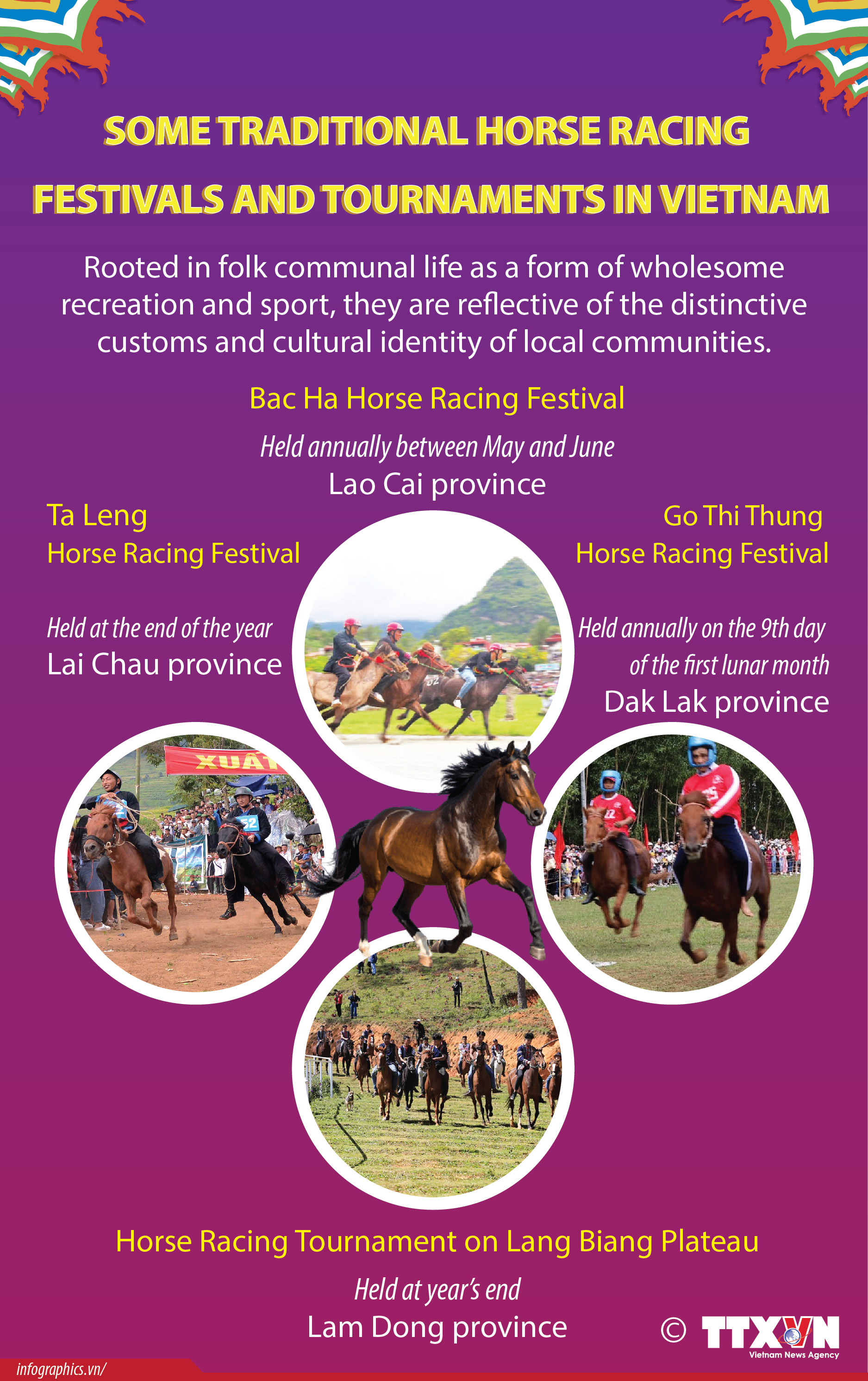 Vietnam’s horse racing festivals: Unique folk sporting tradition