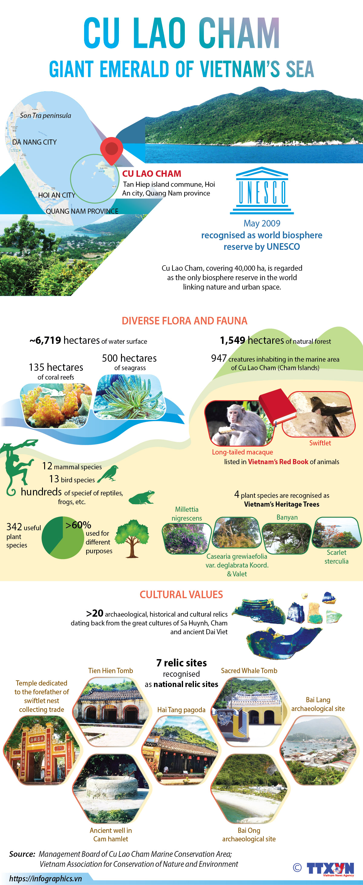 Cu Lao Cham: Giant emerald of Vietnam's sea