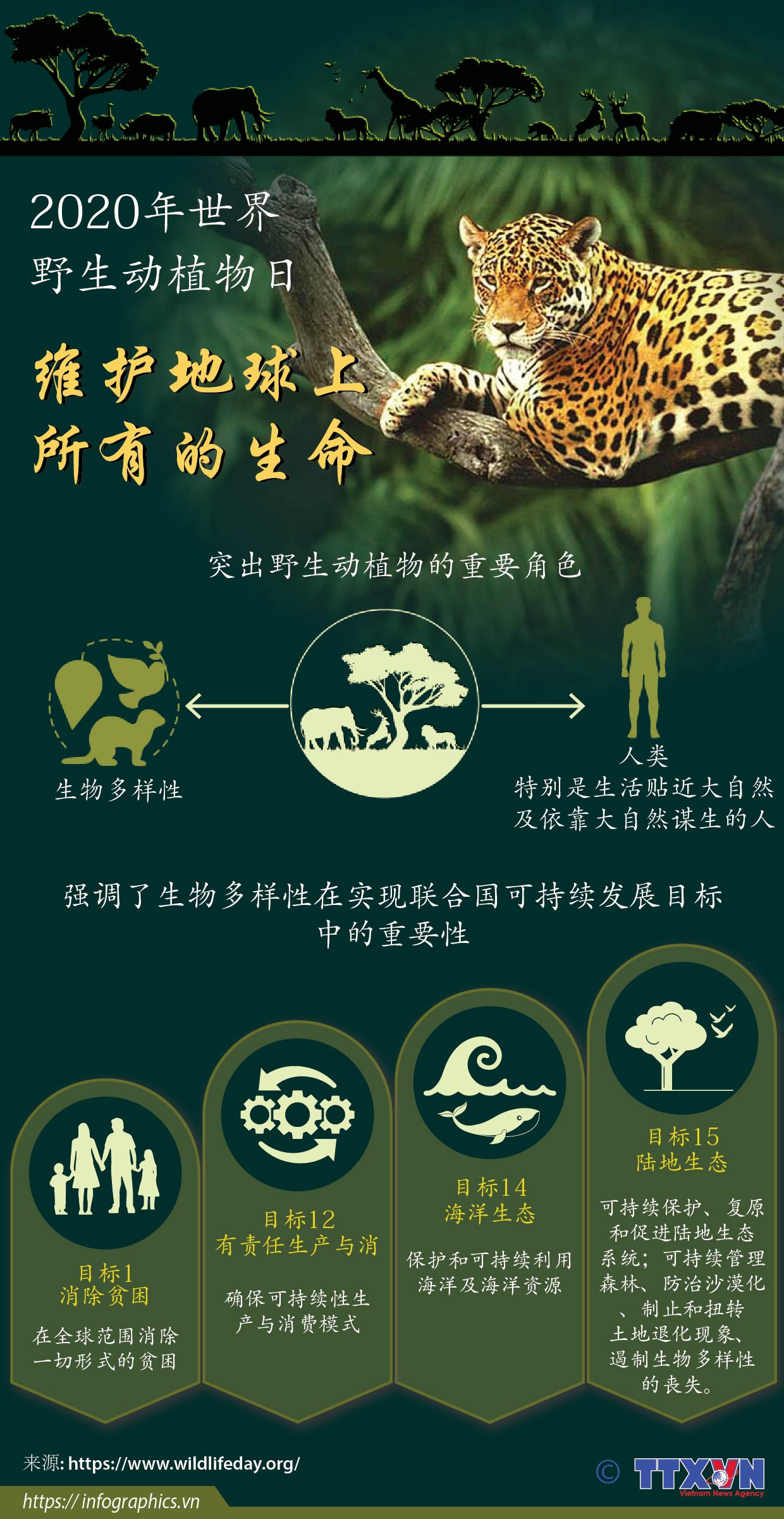 2020年世界野生动植物日：维护地球上所有的生命
