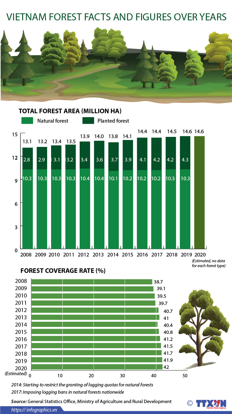 Vietnam forest facts and figures over years