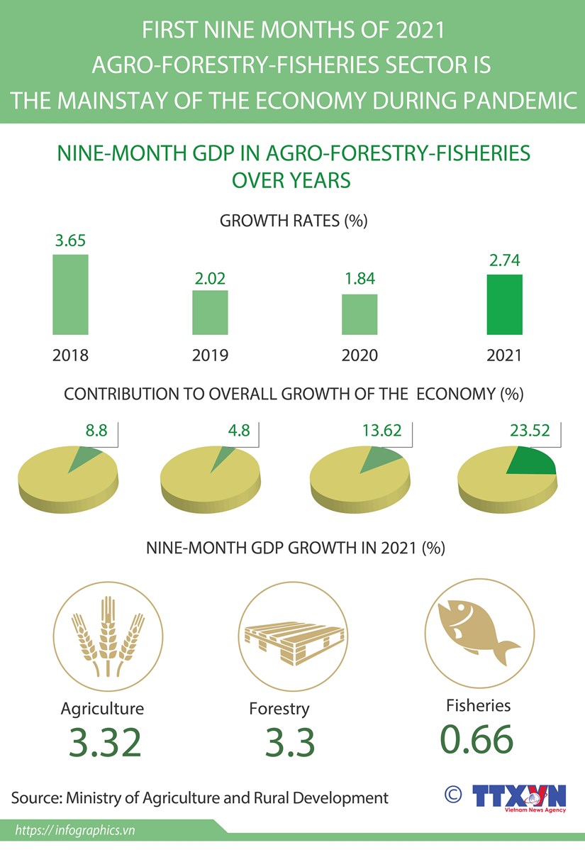 Agro-forestry-fisheries - the mainstay of the economy