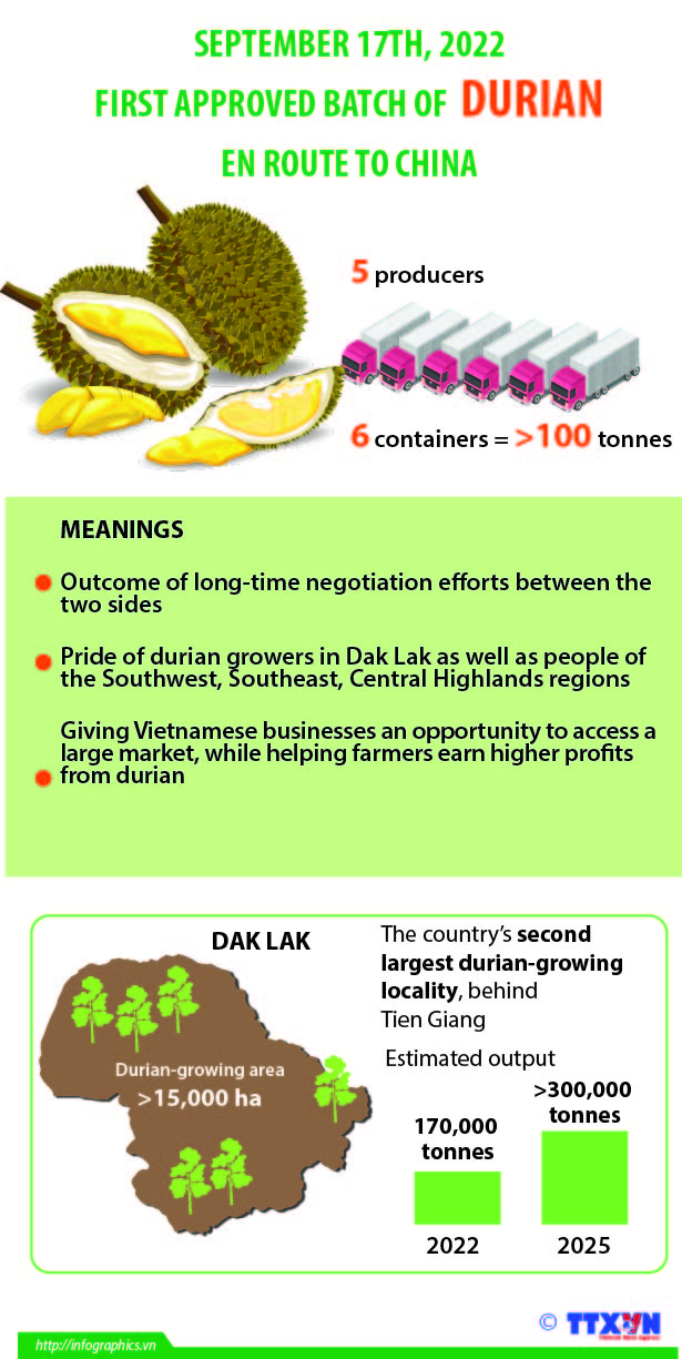First approved batch of Vietnamese durians en route to China