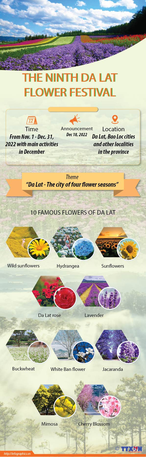 Da Lat flower festival