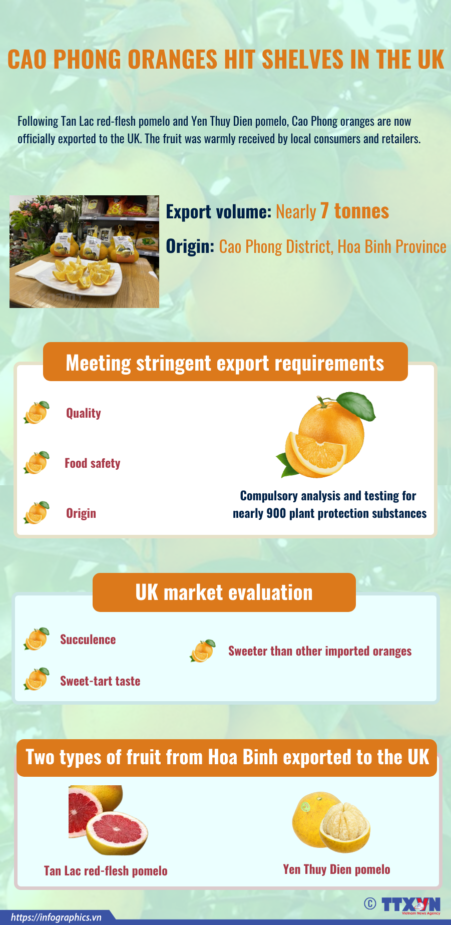 Cao Phong oranges hit shelves in the UK