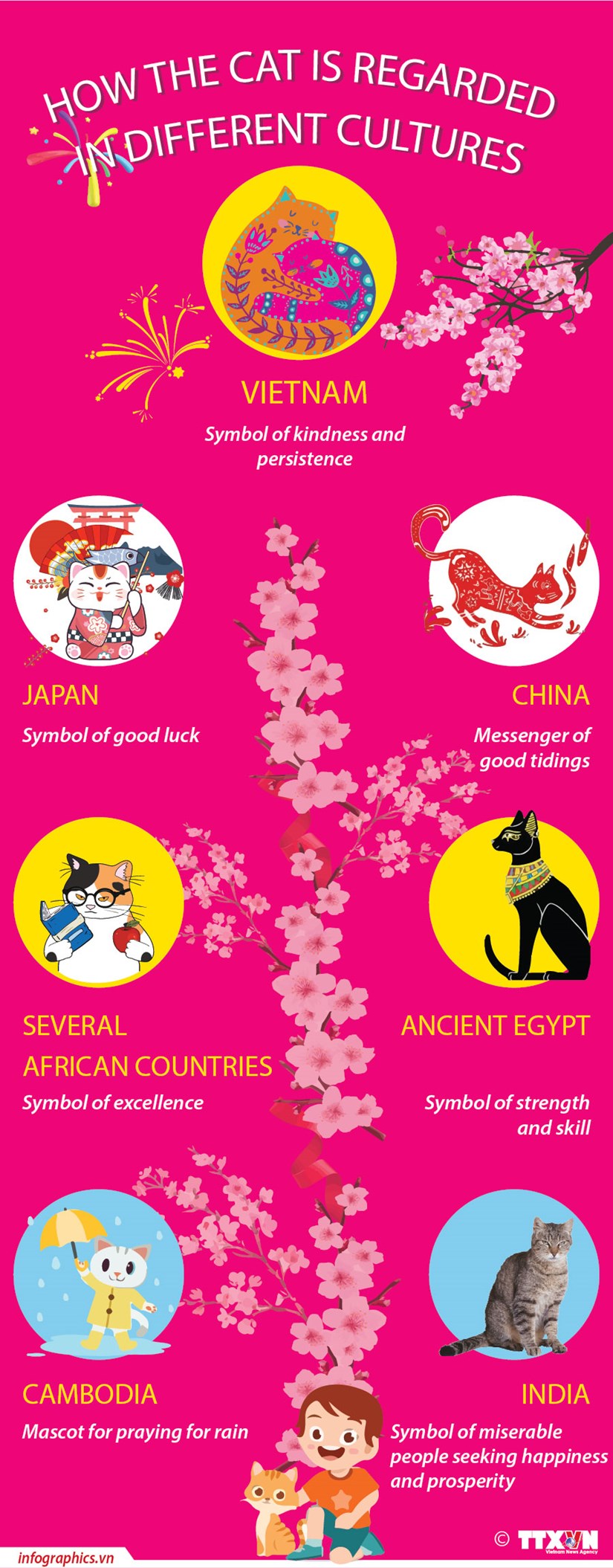 How the cat is regarded in different cultures