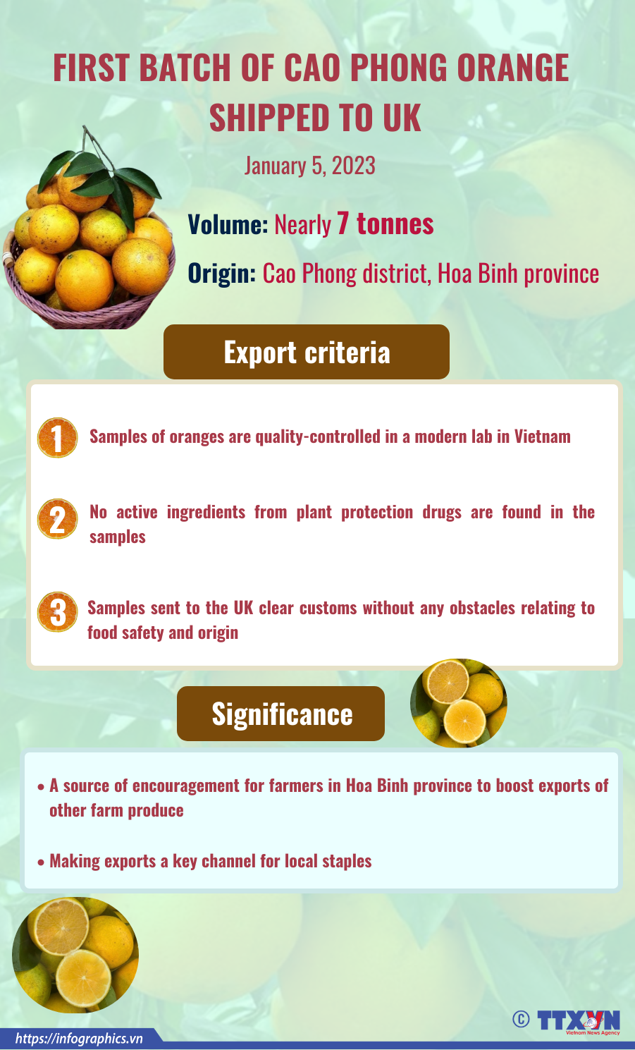 First batch of Cao Phong oranges shipped to UK