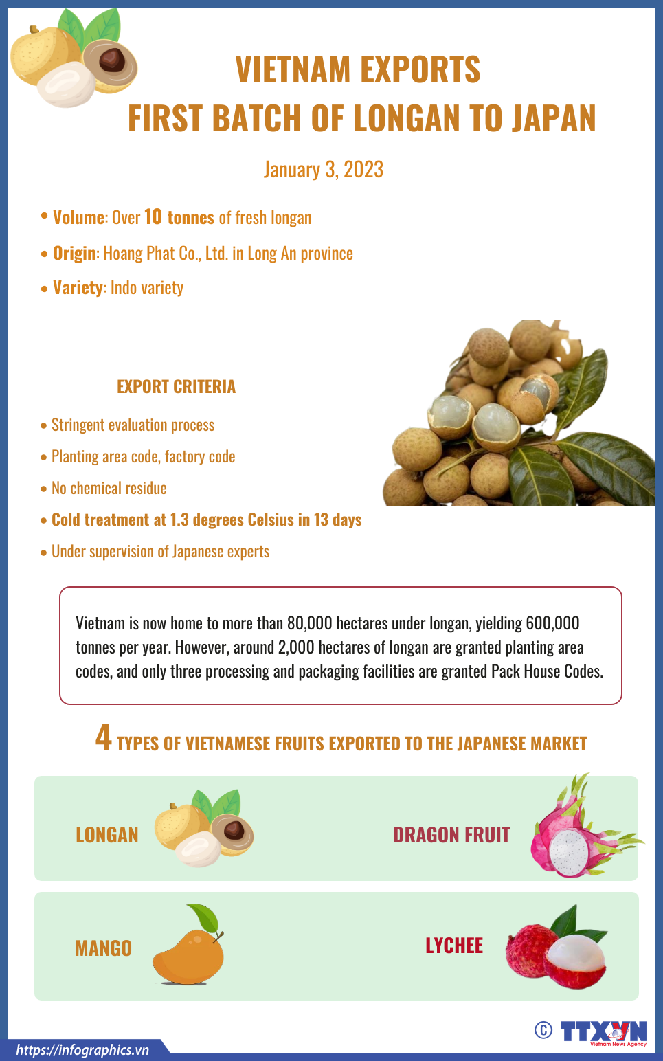 Vietnam exports first batch of longan to Japan
