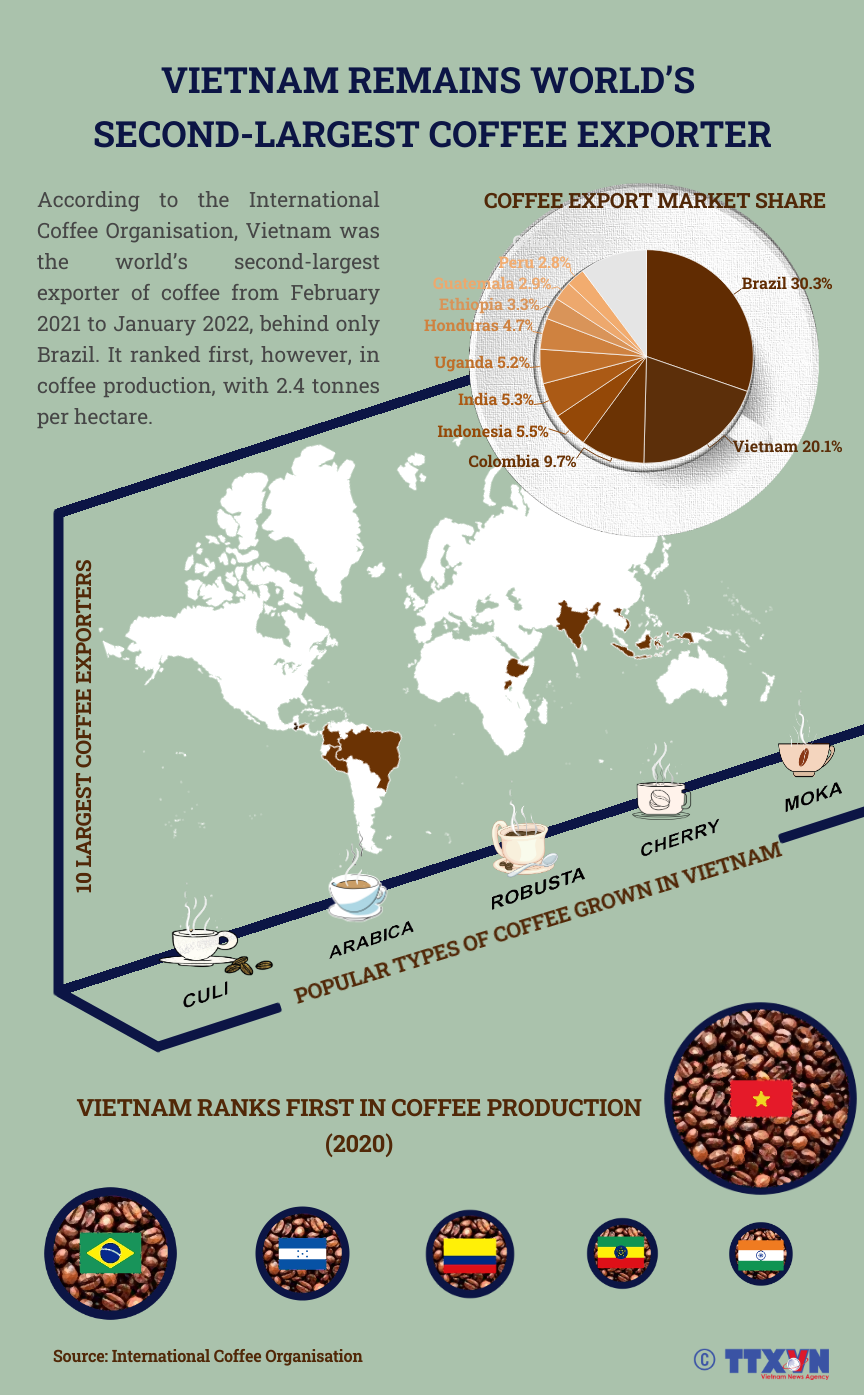 Vietnam remains world’s second-largest coffee exporter