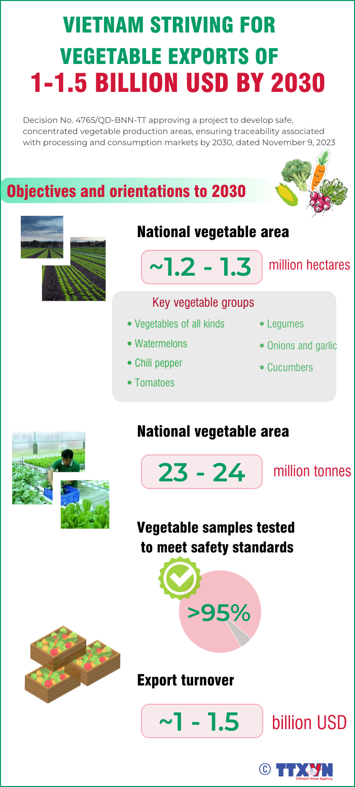 Vietnam striving for vegetable exports worth 1-1.5 bln USD by 2030