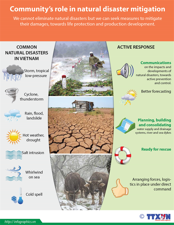 Community's role in natural disaster mitigation 