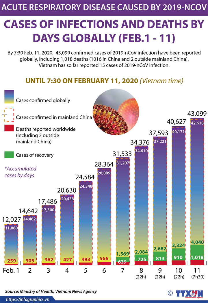 2019-nCoV situation by February 11