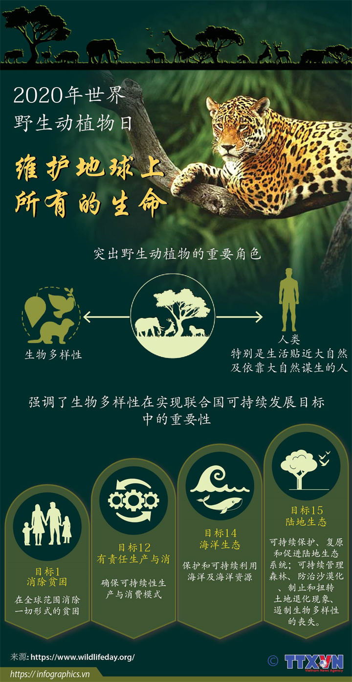 2020年世界野生动植物日：维护地球上所有的生命