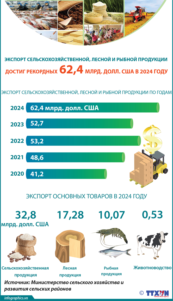 Экспорт сельскохозяйственной, лесной и рыбной продукции достиг рекордных 62,4 млрд. долл. США в 2024 году